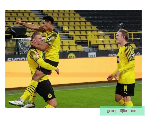 德甲最新积分榜分析：争冠形势愈加激烈 中游球队竞争白热化